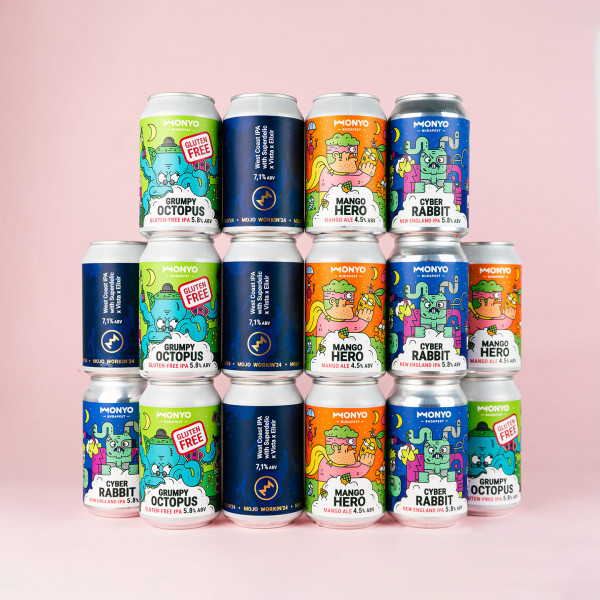 The beer Pack - 16 x 0,33l