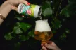 Grumpy Octopus 5,8% 0.33l