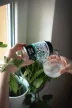 MONYO Hop Soda 0% 0,33l