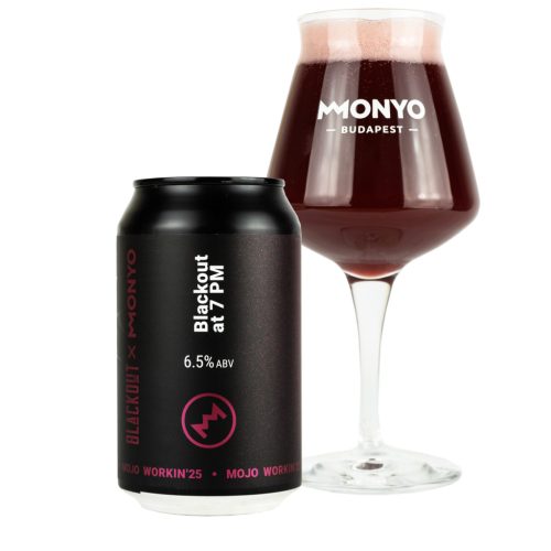 Blackout x MONYO - Blackout at 7 pm Sour Ale 6,5% 0,33L