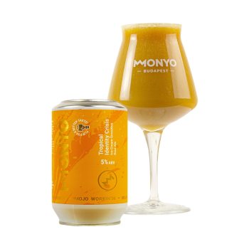 MOJO WORKIN'26 Tropical Identity Crisis 5% 0.33l