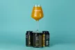 MONYO x CoolHead Brew Tyrni It Up! Sour Ale 6% 0,33l