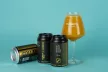 MONYO x CoolHead Brew Tyrni It Up! Sour Ale 6% 0,33l