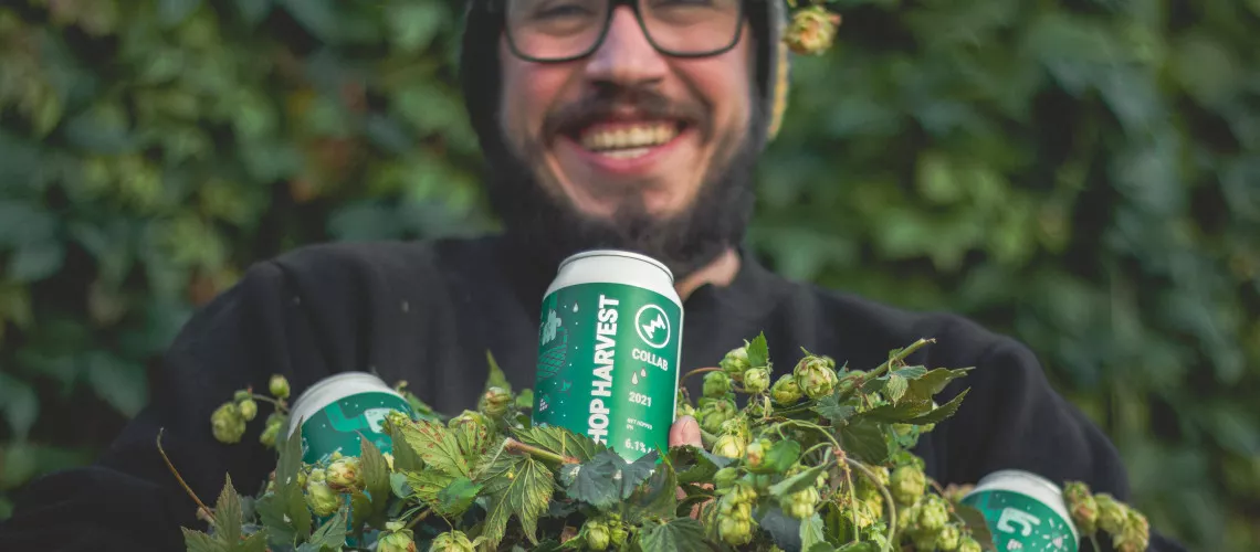 Humulus, te drága! - avagy mindent a komlóról, és ezt-azt az IPA-król
