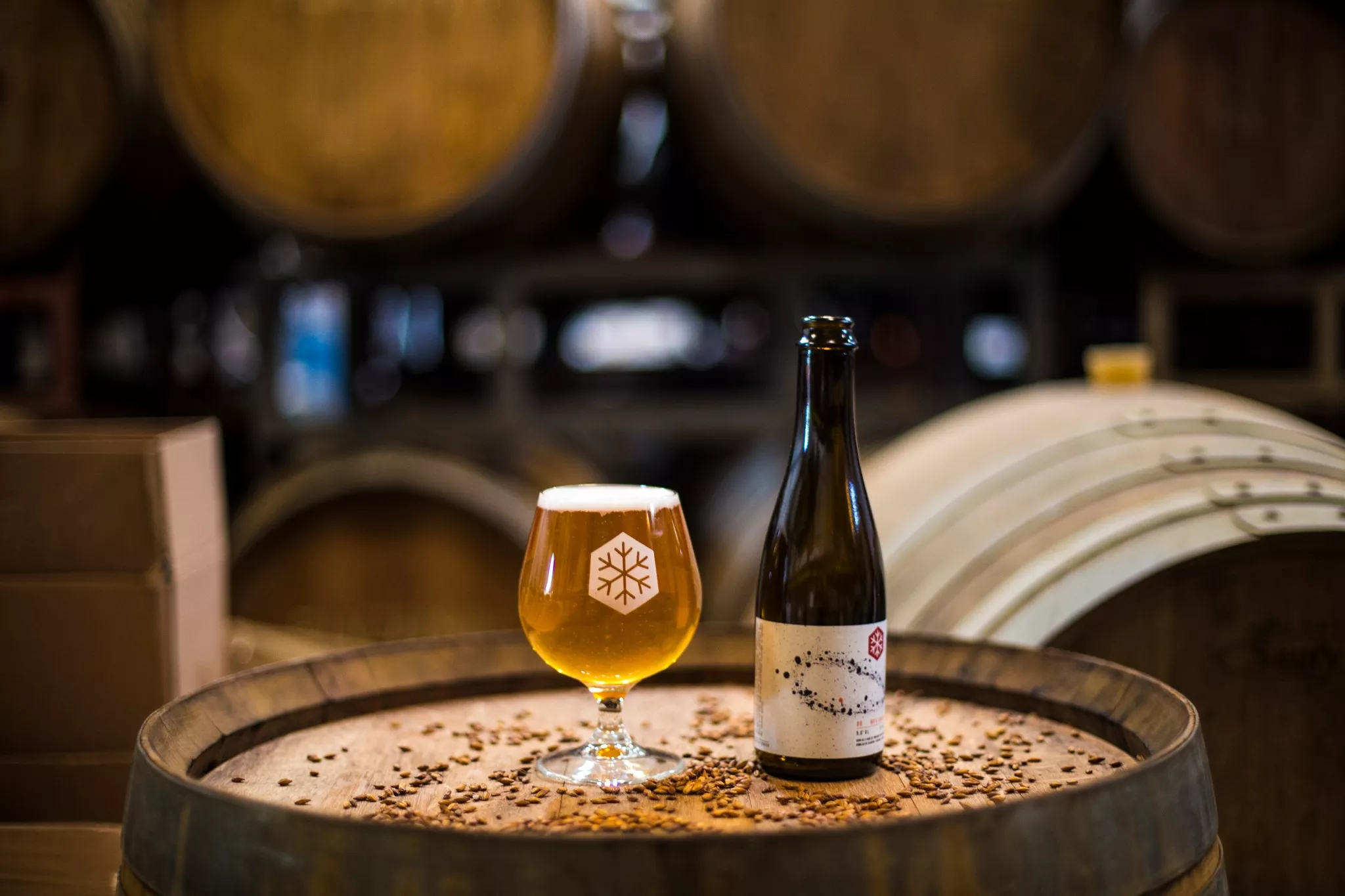 mikkeller_baghaven_wild_ale_celebration_05.webp