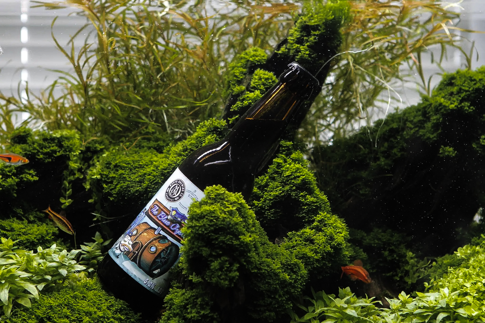 monyo-brewing-blue-oyster.jpg