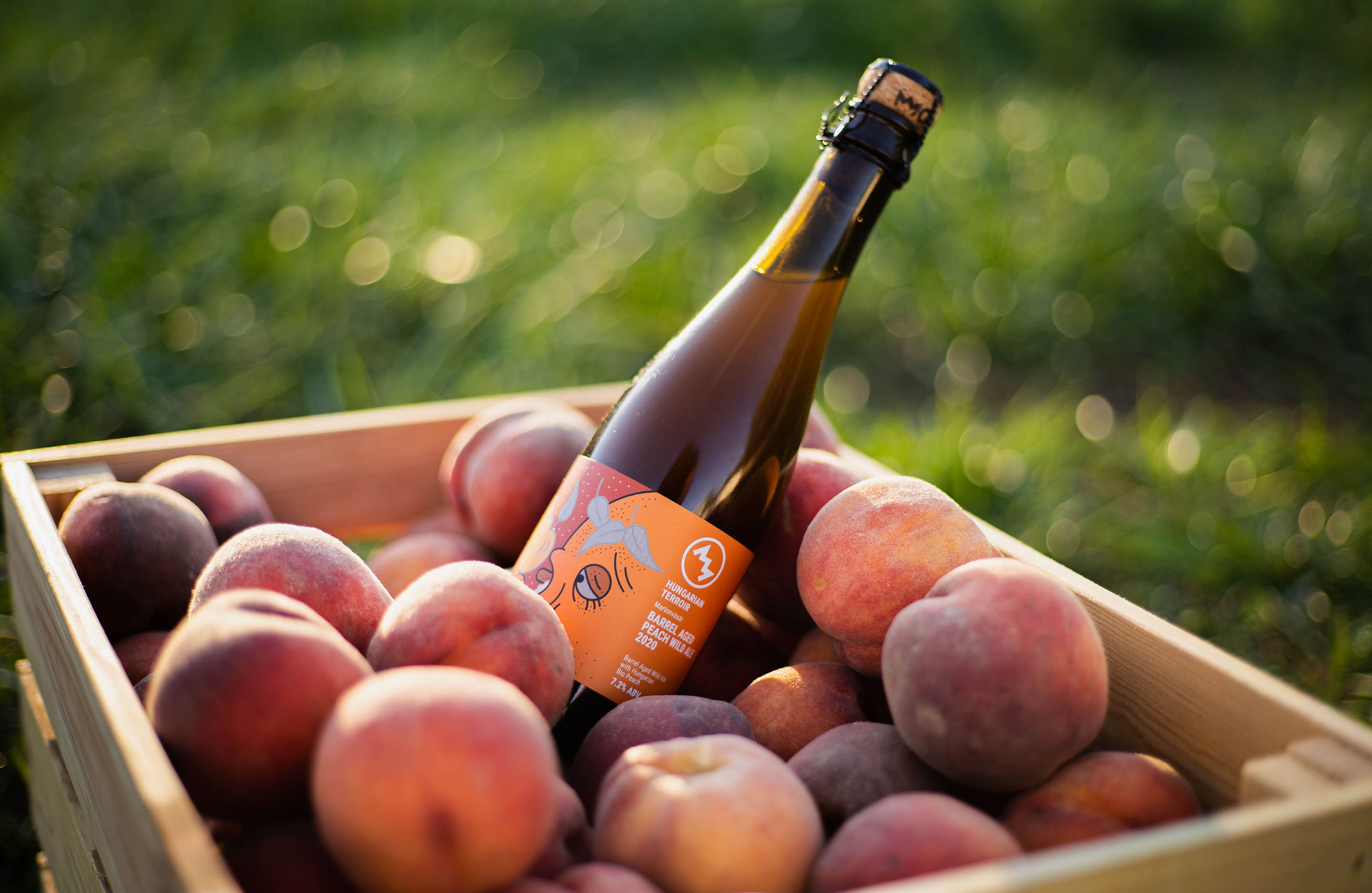 monyo-brewing-hungarian-terroir-barack.jpg