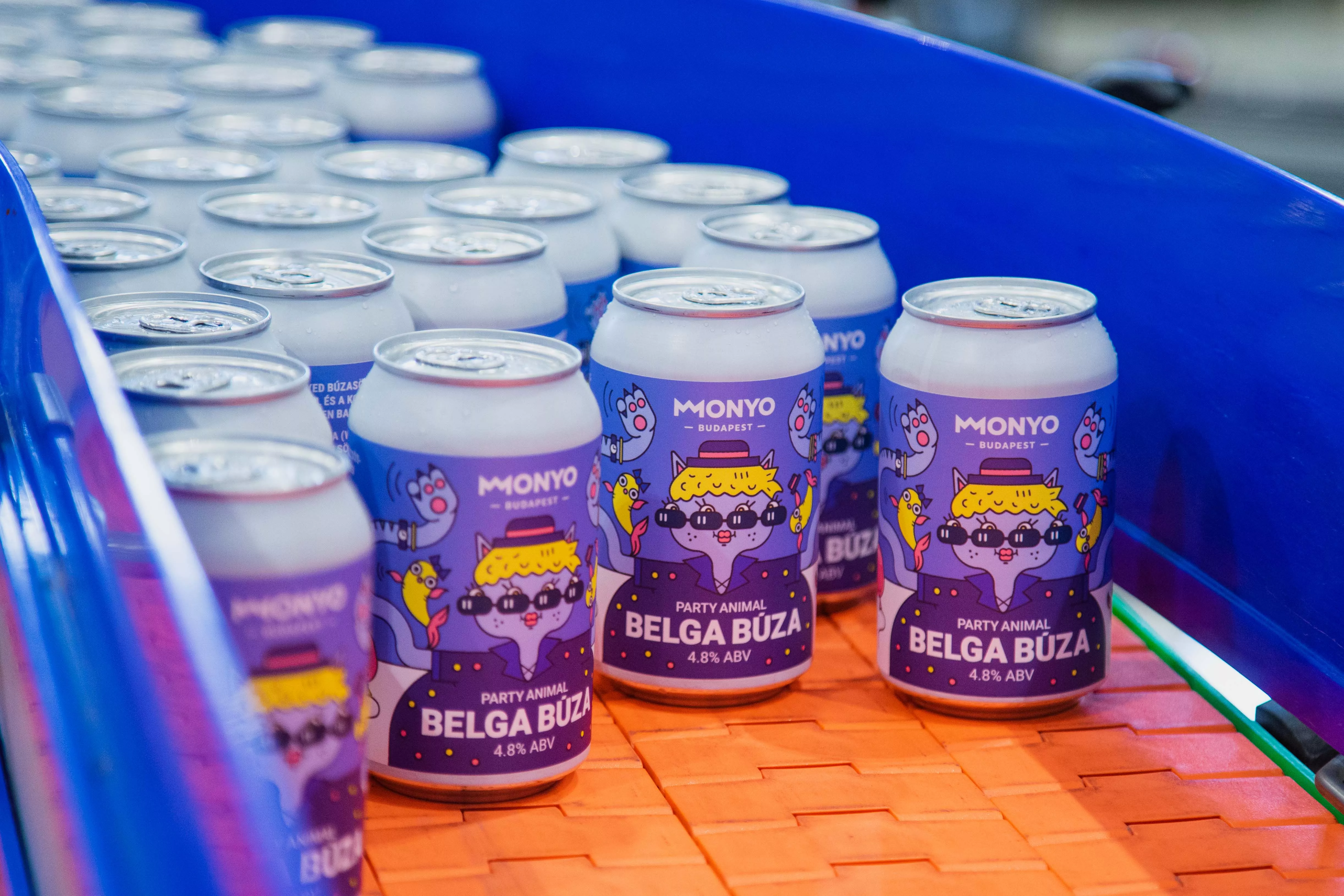 party_animal_belga_buza_mindennapok_ivore_2.webp
